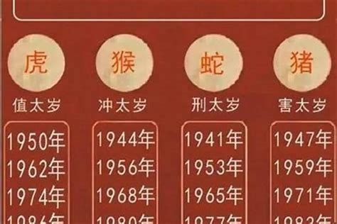 1982什么年|1982年是什么年